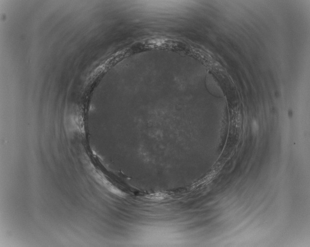 X0000067870754200604201217