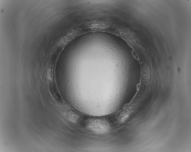 X0000067870755200604201217