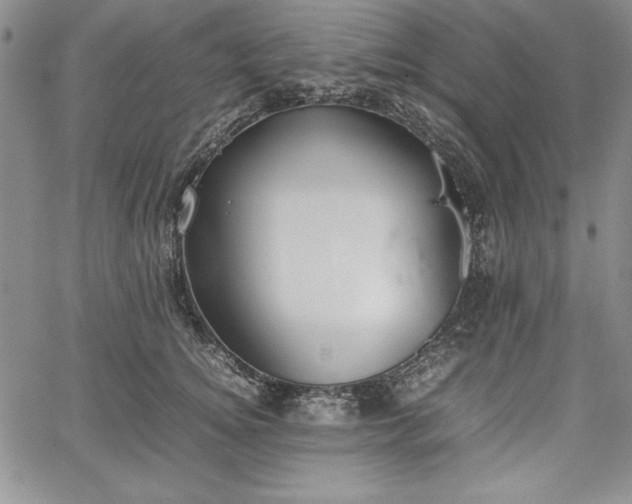 X0000067870756200604201217