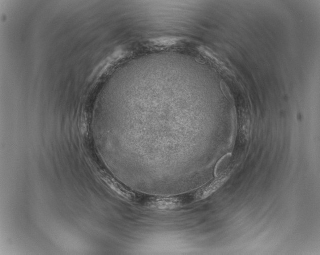 X0000067870758200604201218