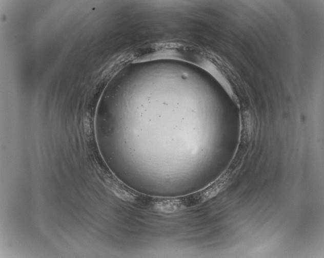 X0000067870761200604201218