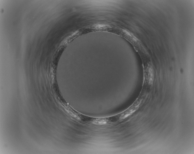 X0000067870762200604201218