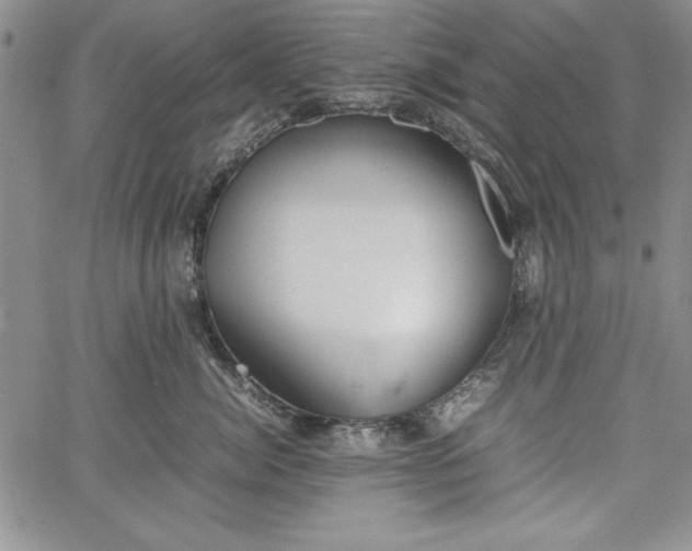 X0000067870764200604201218