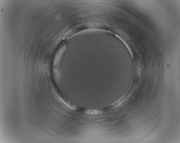 X0000067870766200604201218