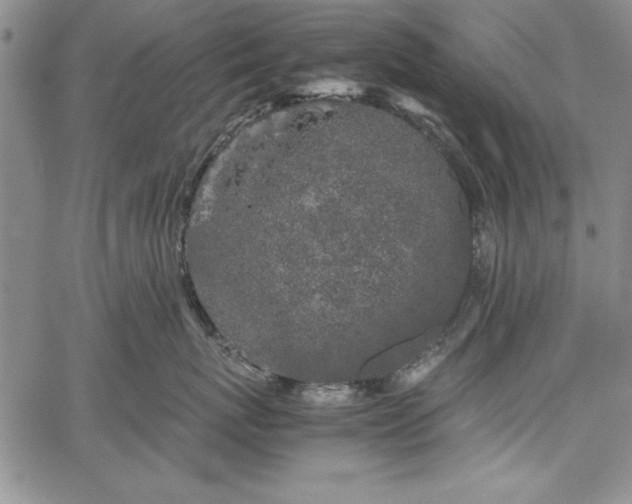 X0000067870767200604201218