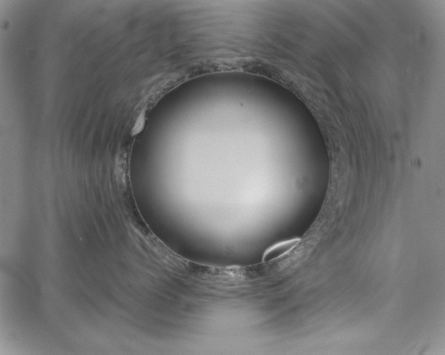 X0000067870768200604201218