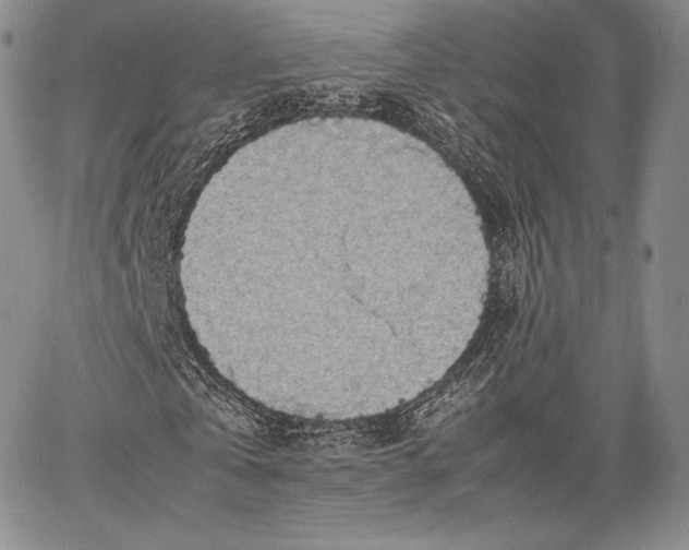 X0000067870769200604201217