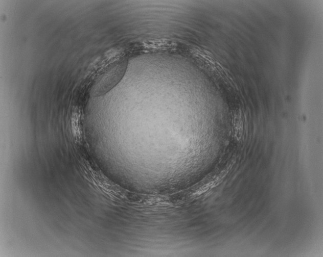 X0000067870770200604201217