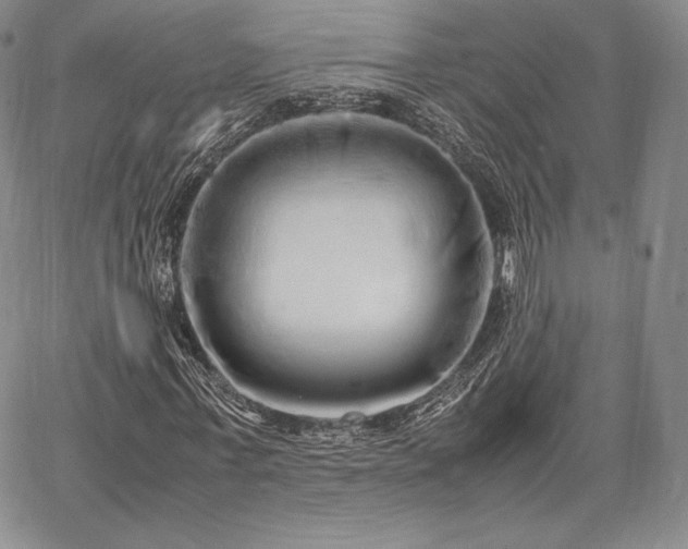 X0000067870771200604201217