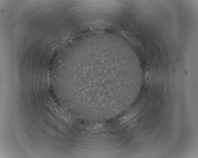 X0000067870772200604201217