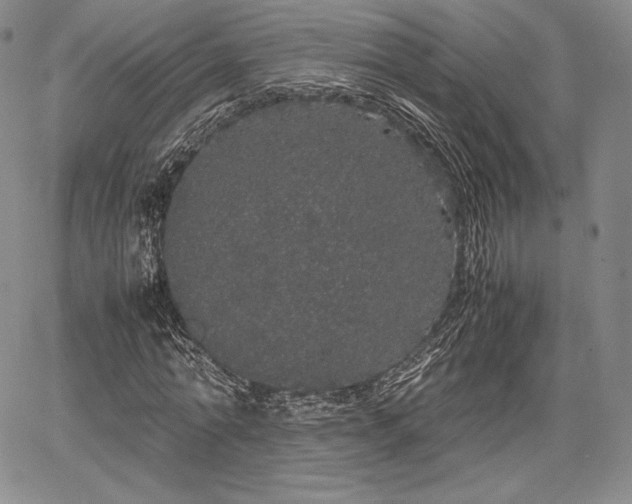 X0000067870774200604201217