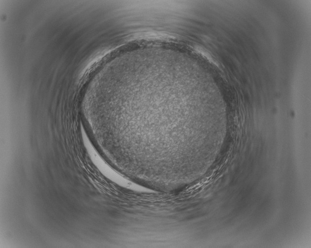 X0000067870775200604201217