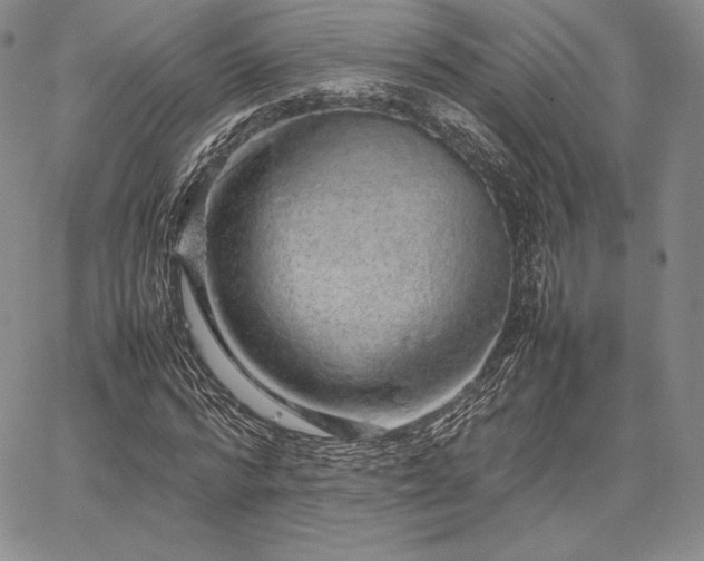 X0000067870776200604201217