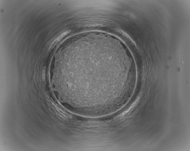 X0000067870777200604201217