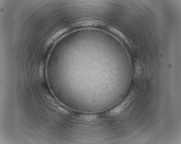 X0000067870778200604201217