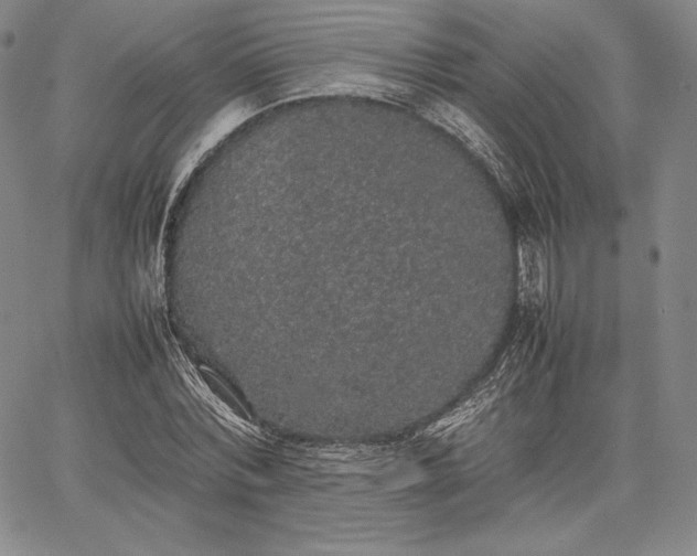 X0000067870780200604201217