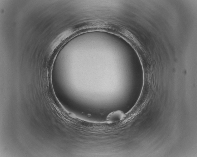 X0000067870781200604201217