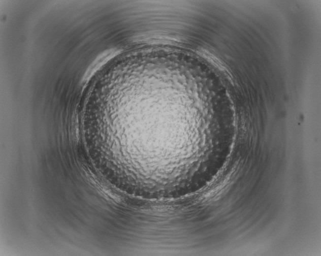 X0000067870782200604201217