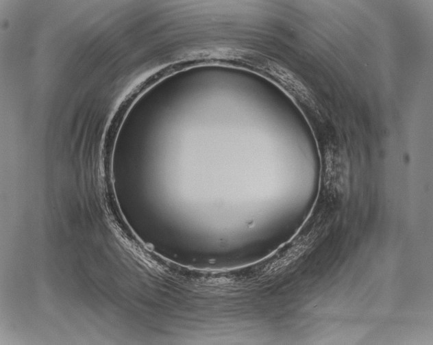 X0000067870784200604201217