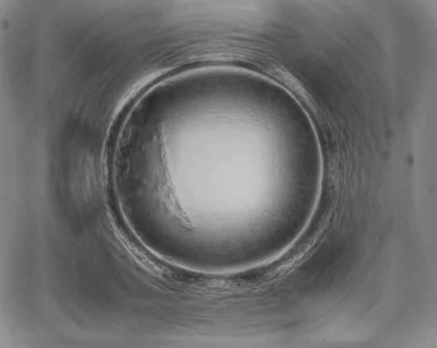 X0000067870787200604201217