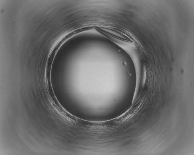 X0000067870788200604201217