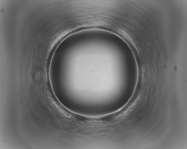 X0000067870789200604201217