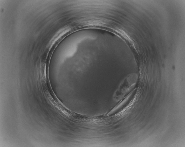 X0000067870790200604201217