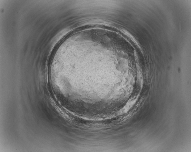 X0000067870791200604201217