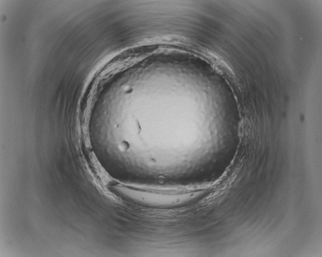 X0000067870792200604201217