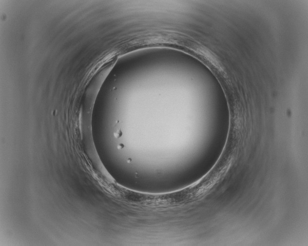 X0000067870793200604201216