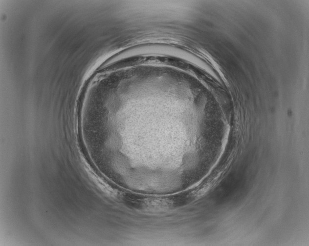 X0000067870795200604201216