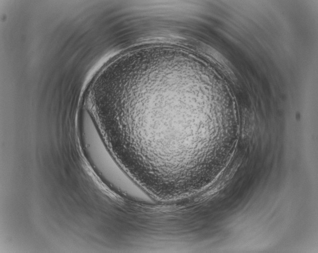 X0000067870796200604201216