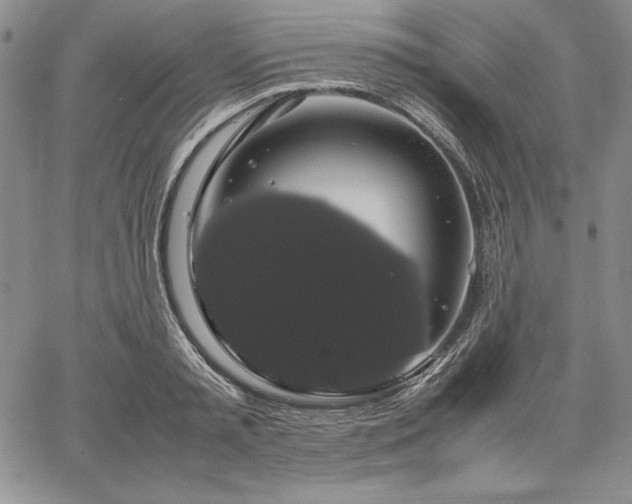 X0000067870797200604201216