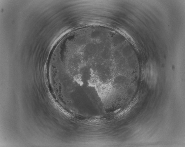 X0000067870798200604201216