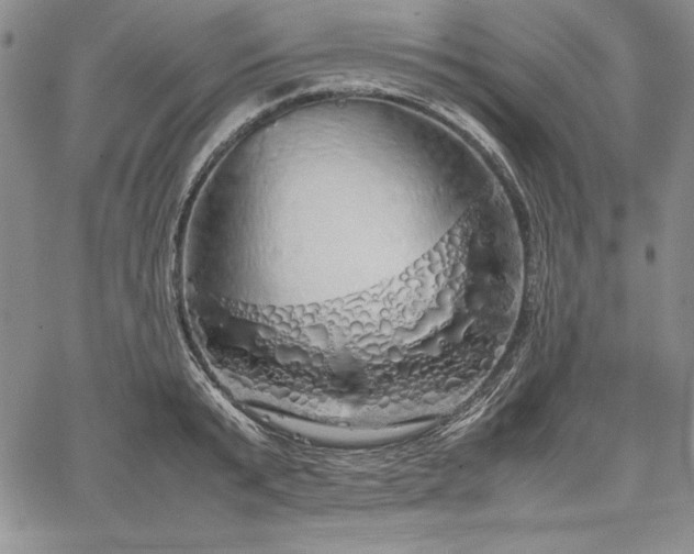 X0000067870799200604201216