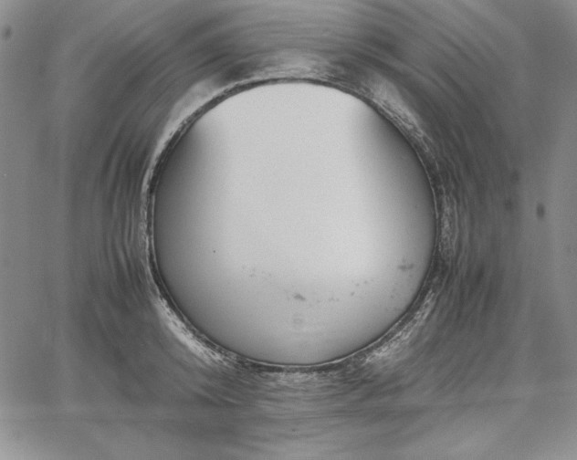 X0000067870800200604201216