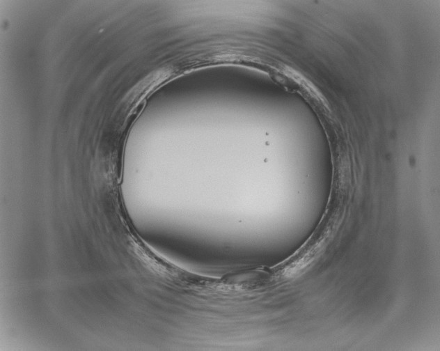 X0000067870801200604201216