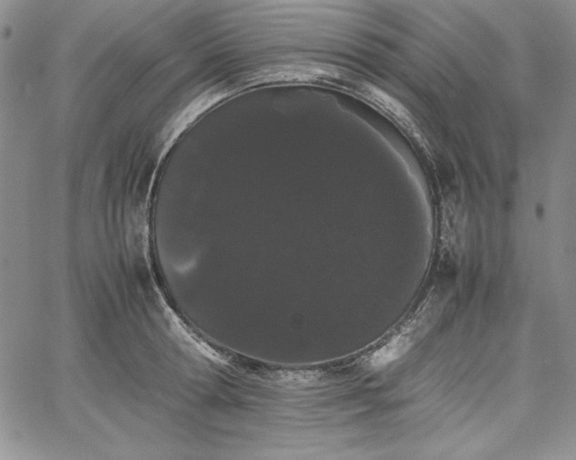 X0000067870802200604201216