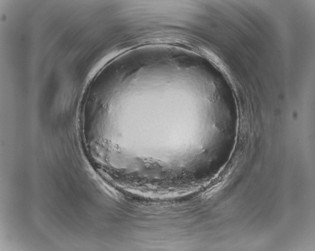 X0000067870803200604201216