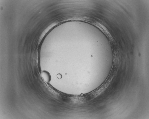 X0000067870804200604201216