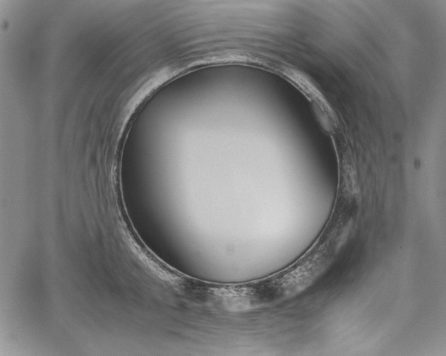 X0000067870805200604201216