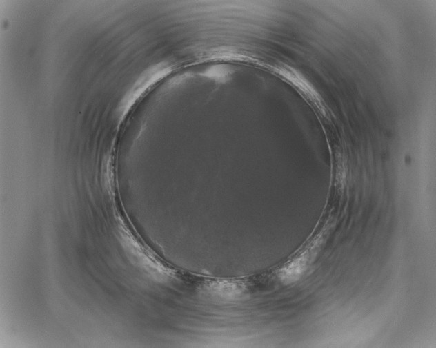 X0000067870806200604201216