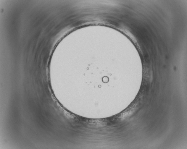 X0000067870807200604201216