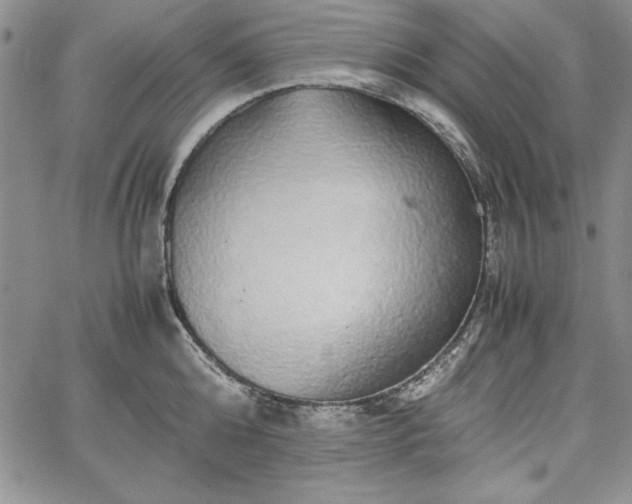 X0000067870808200604201216