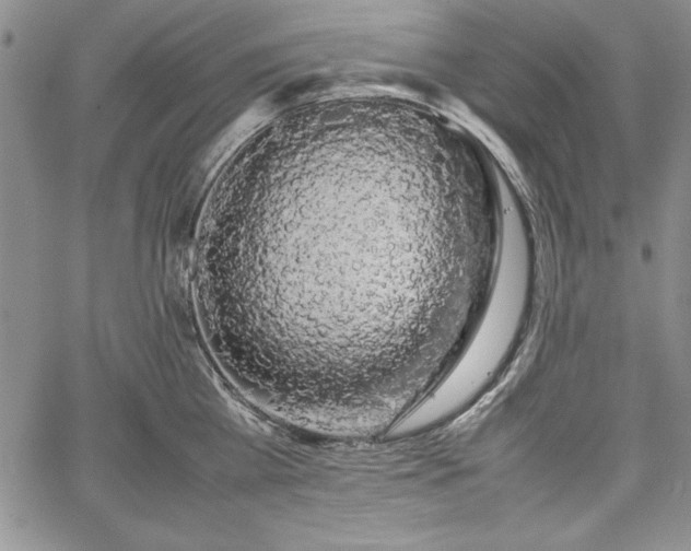 X0000067870809200604201216