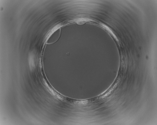 X0000067870810200604201216