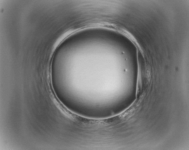 X0000067870811200604201216