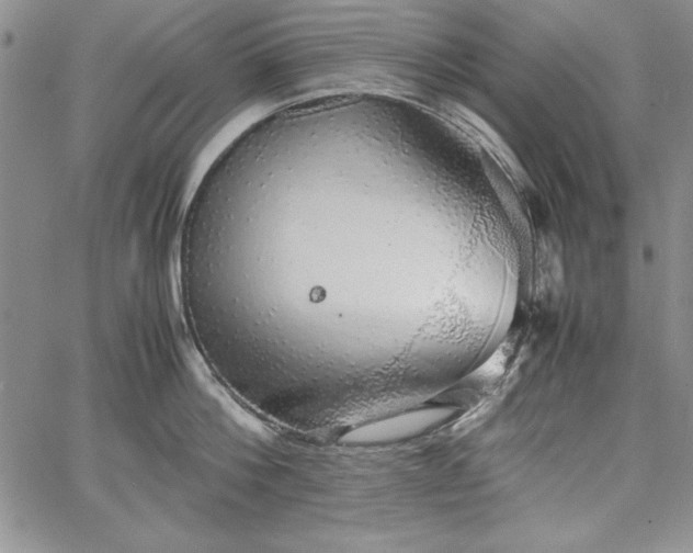 X0000067870812200604201216