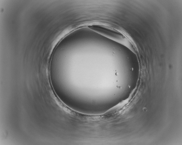 X0000067870813200604201216