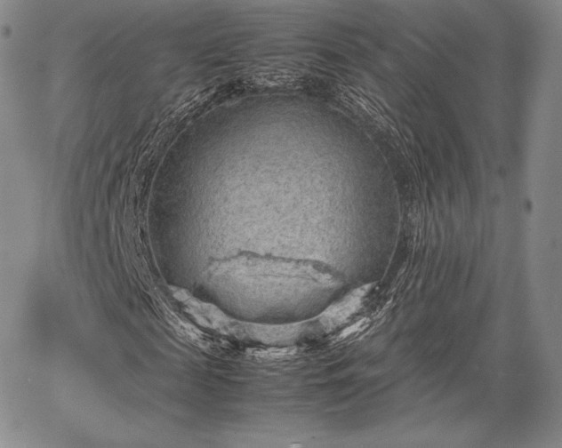 X0000067870817200604201215